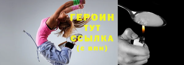мдпв Горно-Алтайск