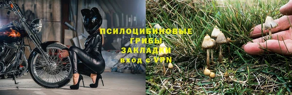 синтетический гашиш Горнозаводск