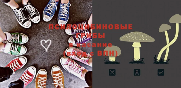 МДПВ Горняк