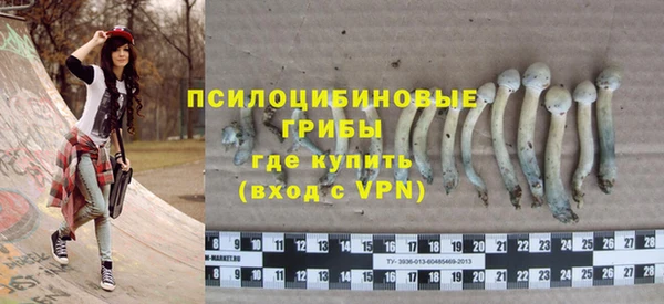 МДПВ Горняк