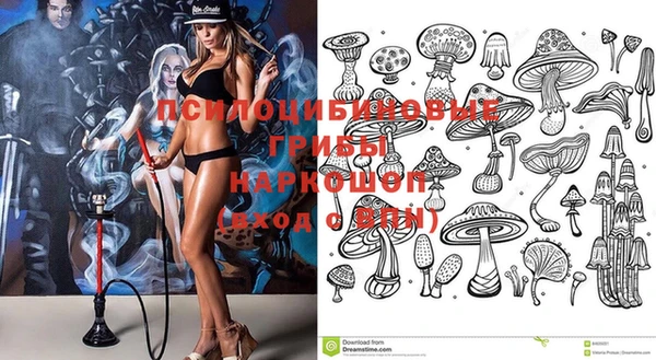 МДПВ Горняк