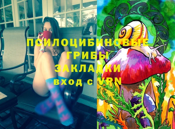 МДПВ Горняк