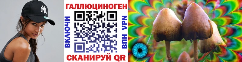 Псилоцибиновые грибы мицелий Трёхгорный