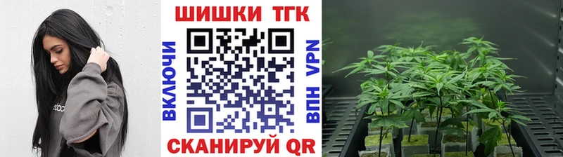 Канабис ГИДРОПОН  KRAKEN   Трёхгорный 